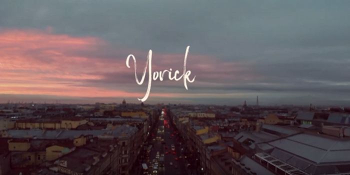 Yorick Behind the Journey